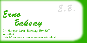 erno baksay business card